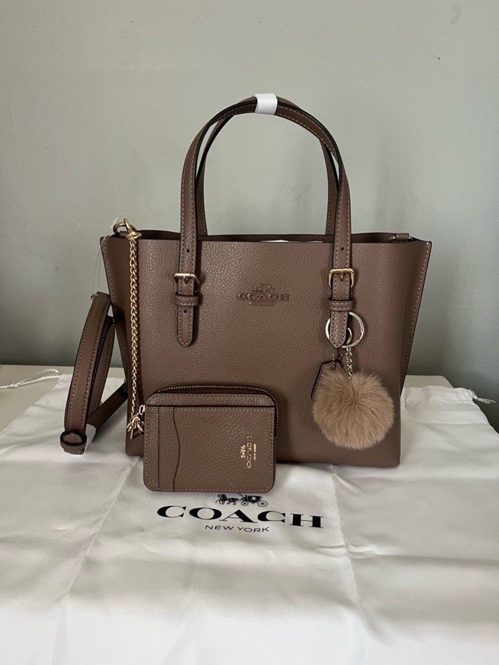 Coach Mollie Tote 25 Set - Picture 5 of 10